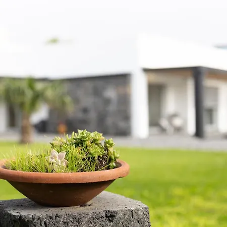 Gasthof Guestready - Charming Retreat With Garden